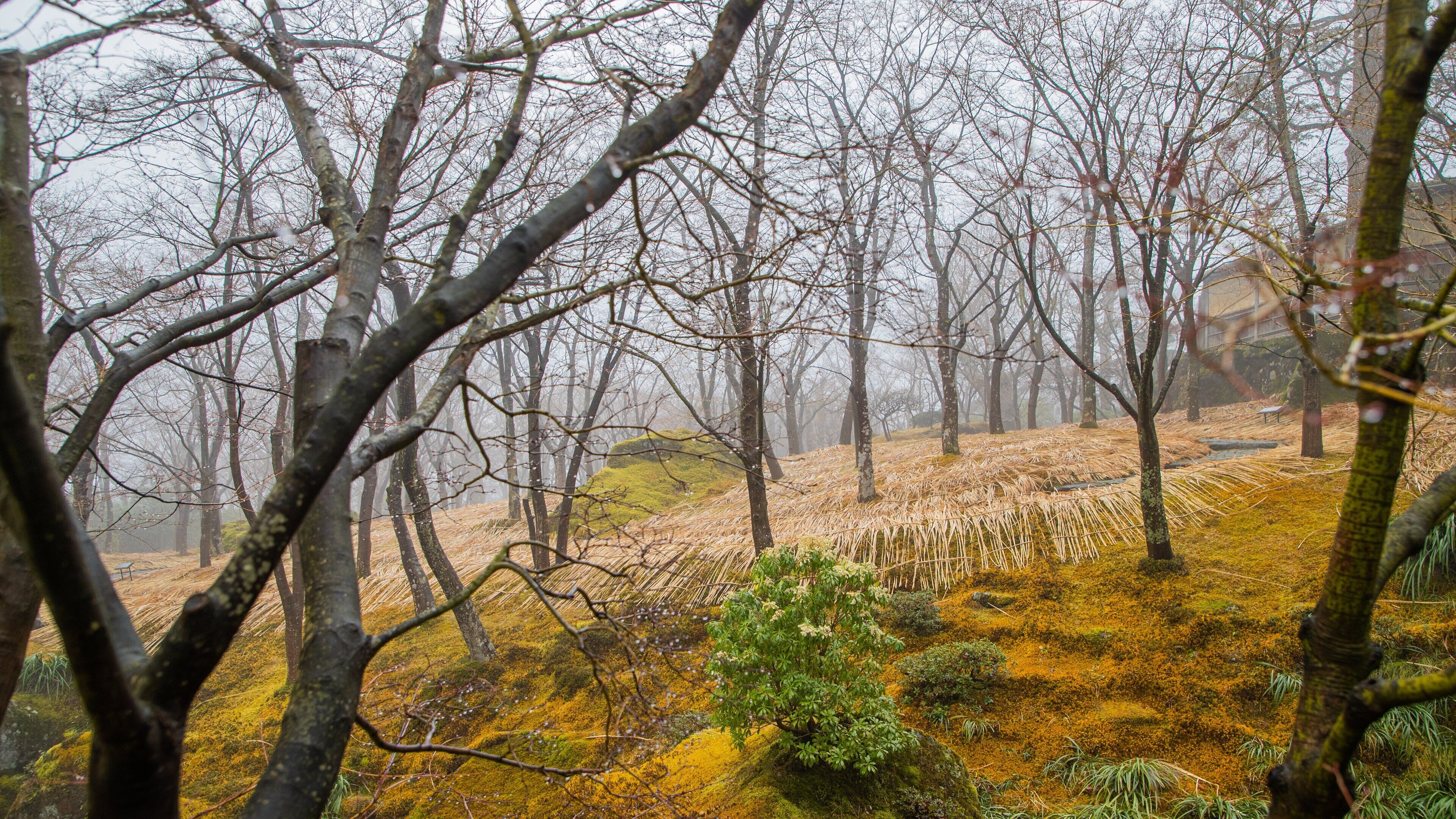 Hakone Museum of Art which includes a garden