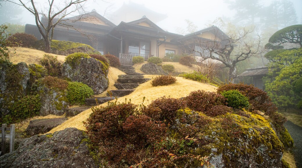 Hakone Museum of Art showing a garden and mist or fog