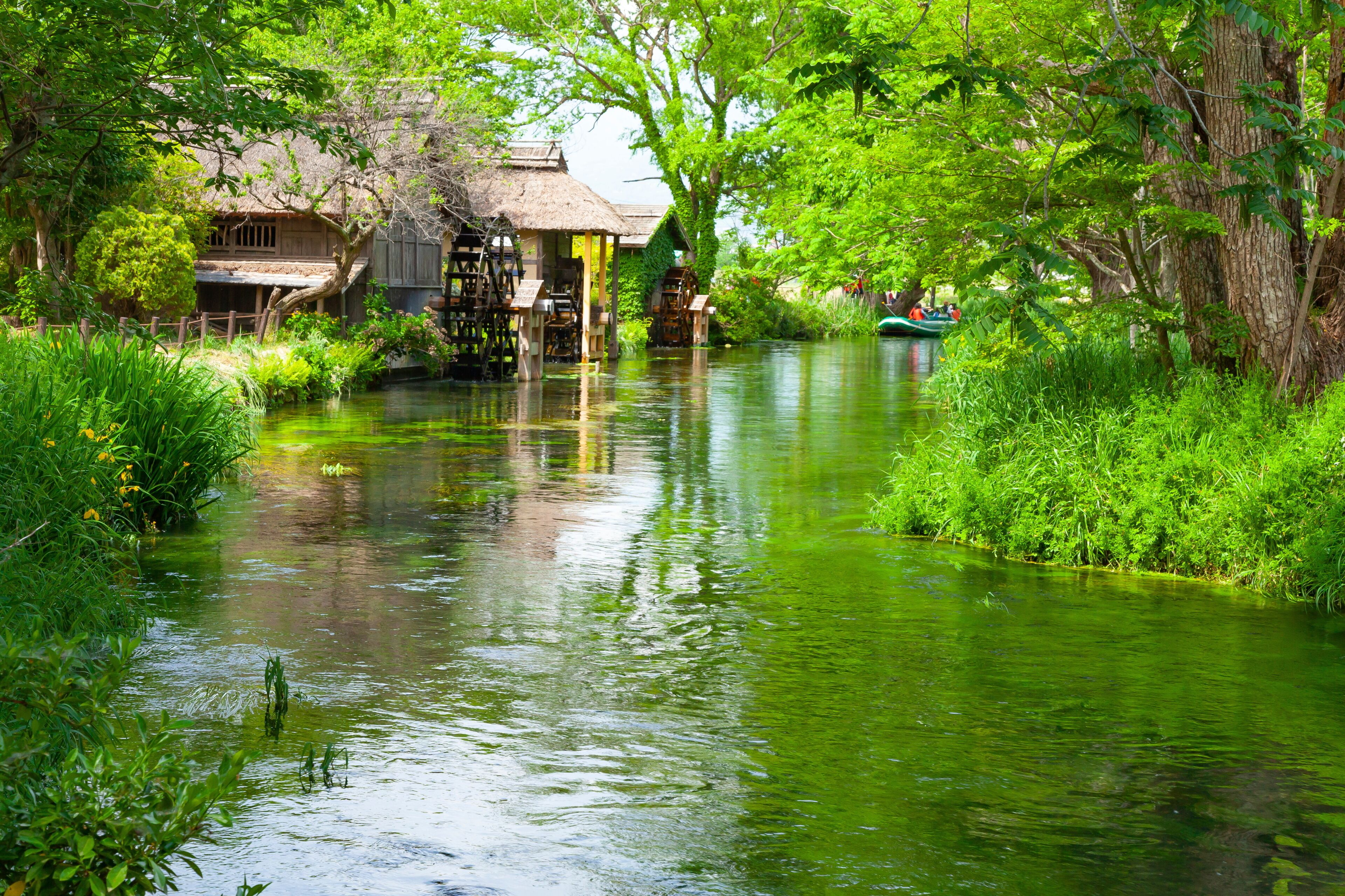 Wasabiboerderij Daio