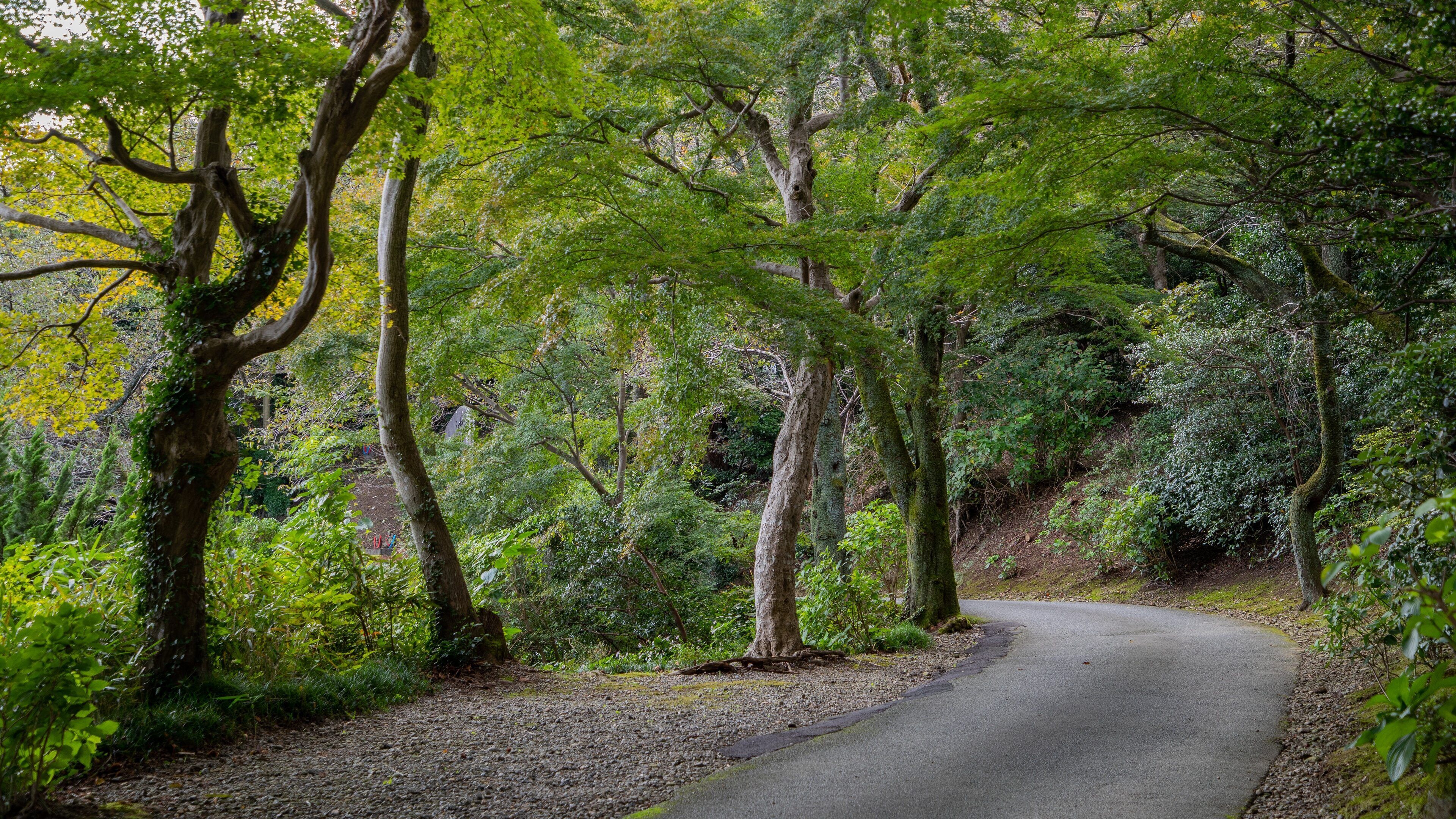 Chokeiji Temple which includes a garden