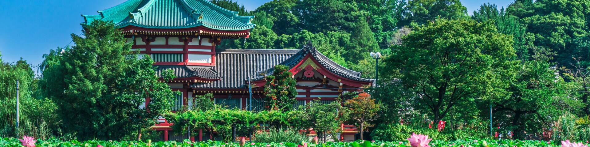 夏の上野恩賜公園 弁天堂と蓮の花々【東京都・台東区】