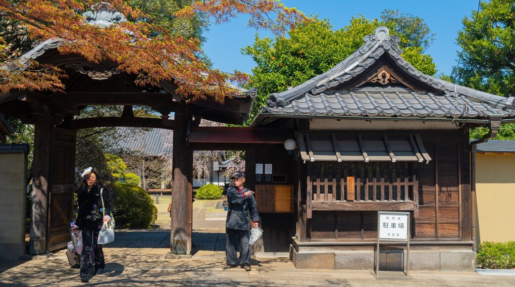 Yanaka which includes street scenes as well as a couple