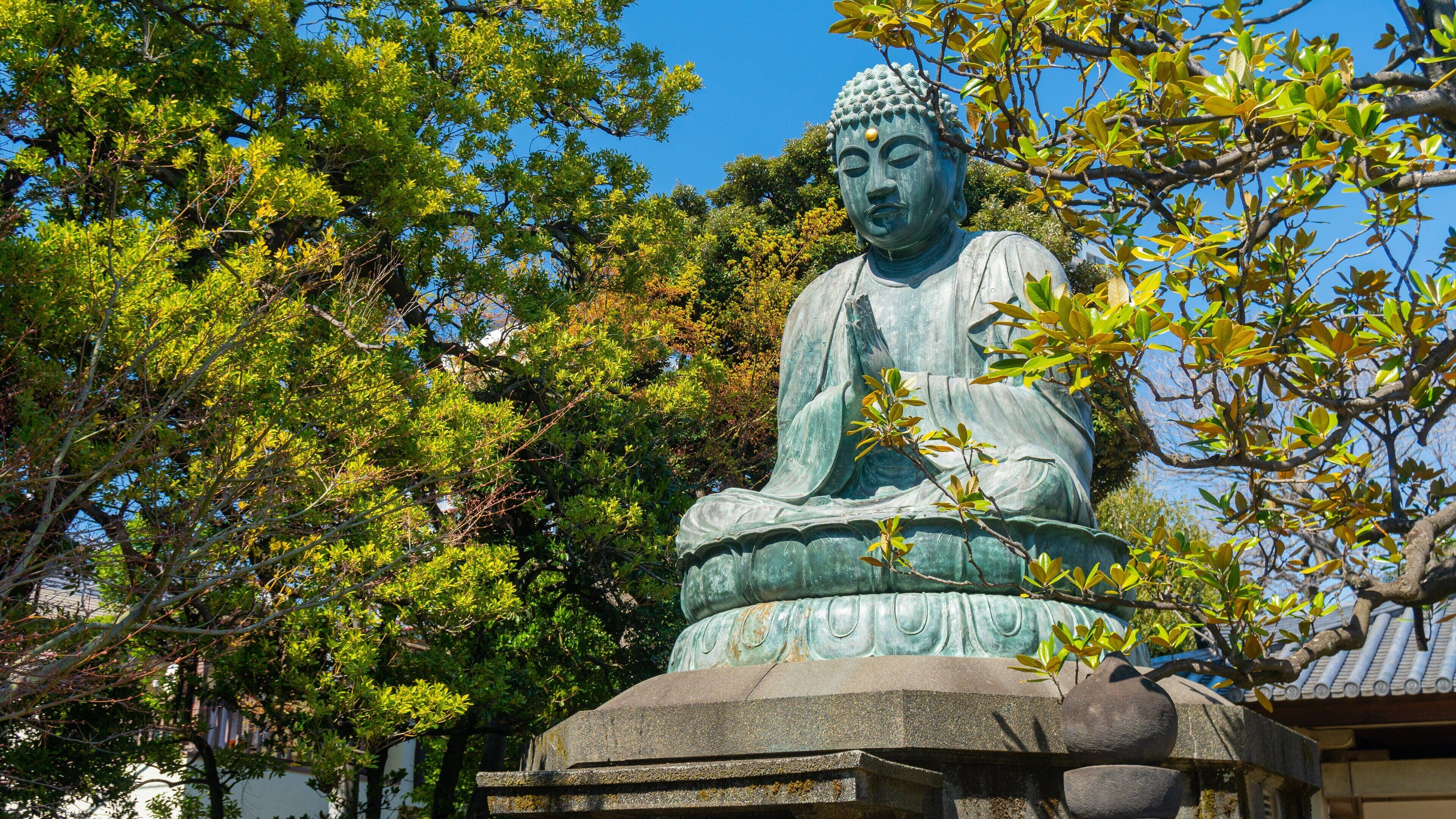 Yanaka which includes a statue or sculpture and heritage elements
