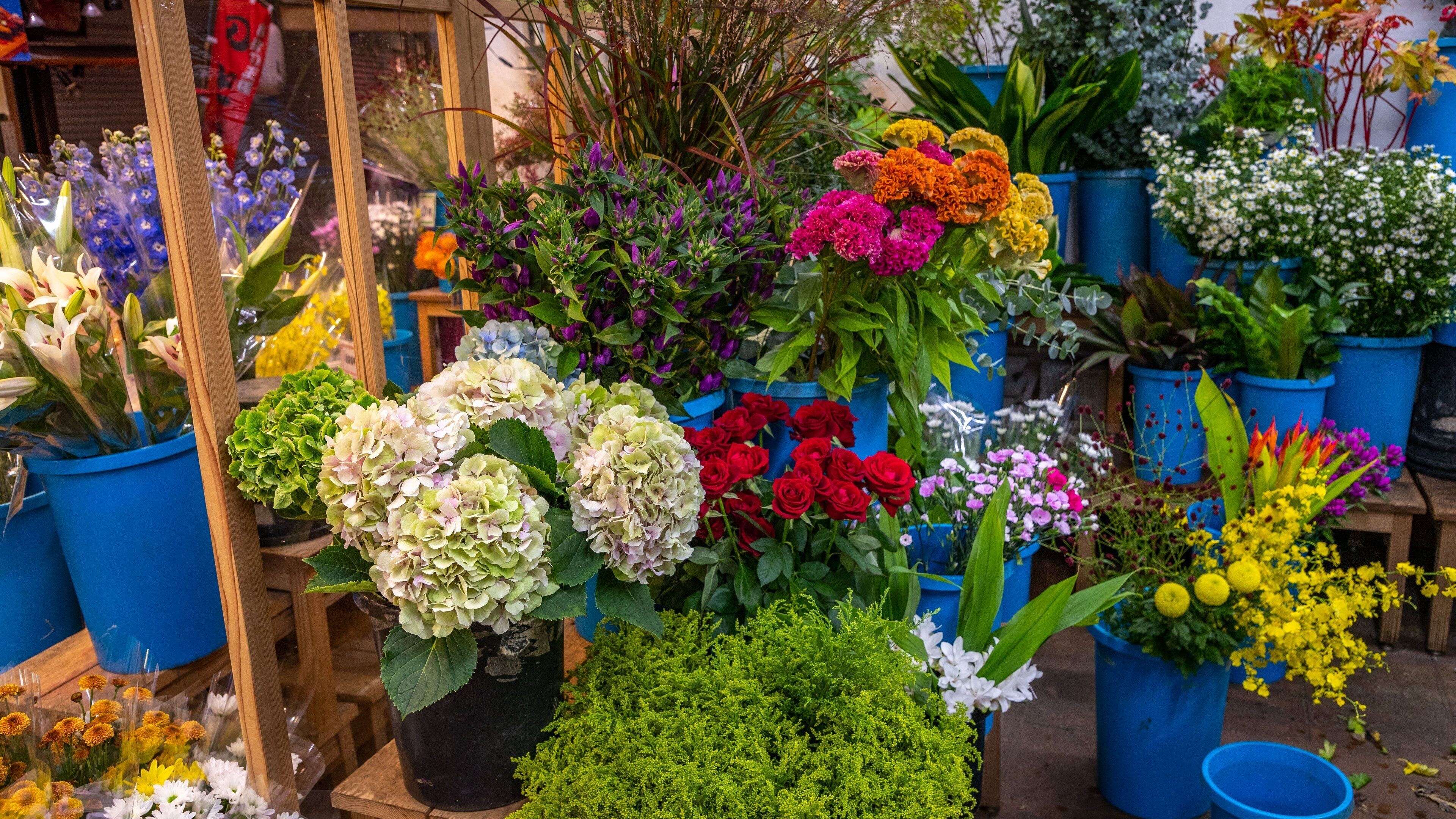 Omicho Market showing flowers
