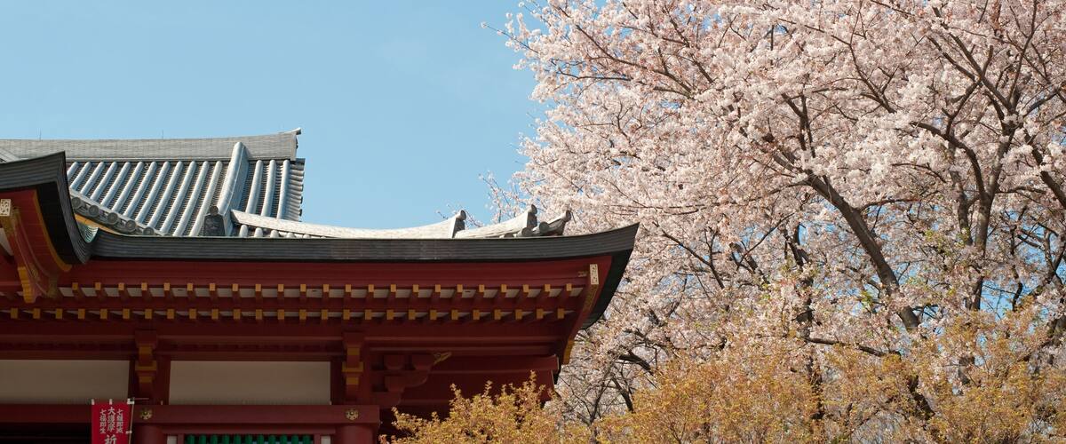 Meguro Fudoson temple and cherry blossom, Shutterstock ID 50735365, SF SSA Case with Manager Approval: Case 07151371, Job: Prepay credit, Client/Licensee: , Other: