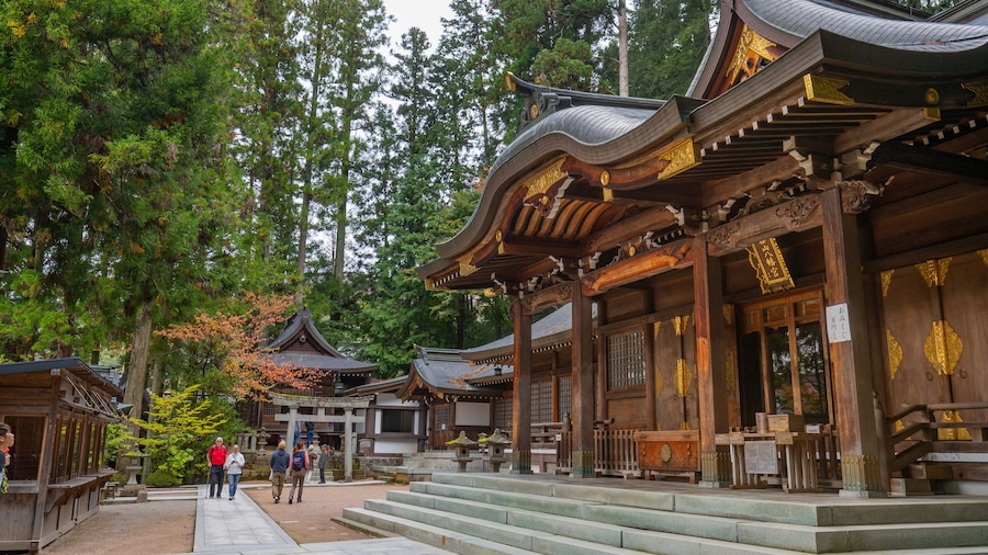 Sakurayama-Jinja showing street scenes and heritage architecture