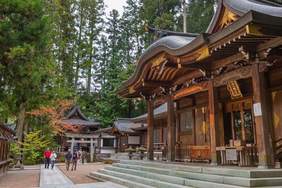 Traditional Japanese architecture with wooden buildings and a forested area.