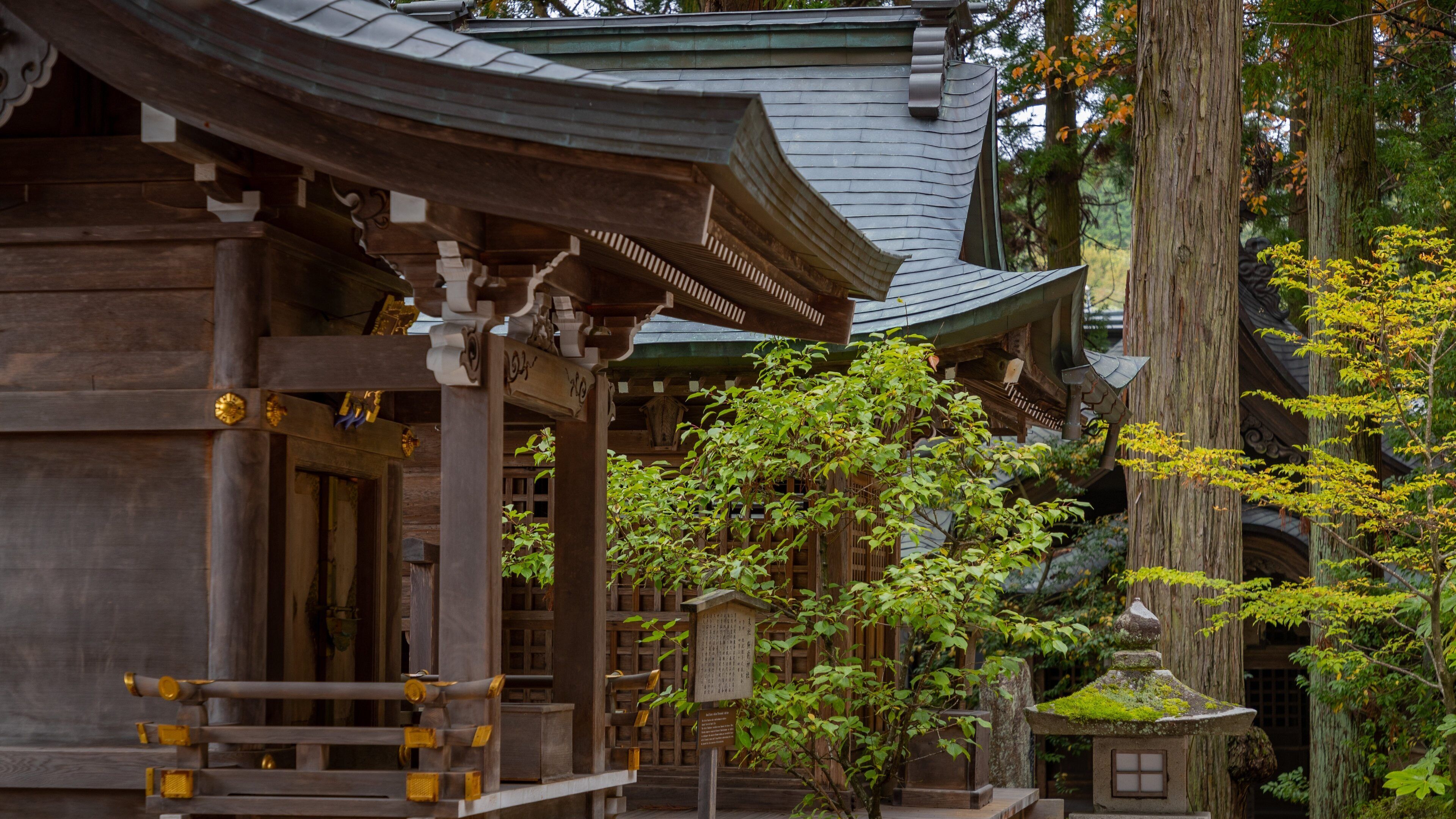 Sakurayama-Jinja featuring heritage elements