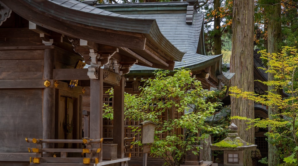 Sakurayama-Jinja featuring heritage elements