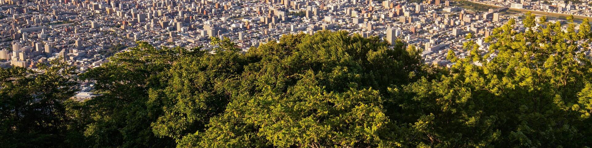 Moiwa Ropeway which includes a city, landscape views and a sunset