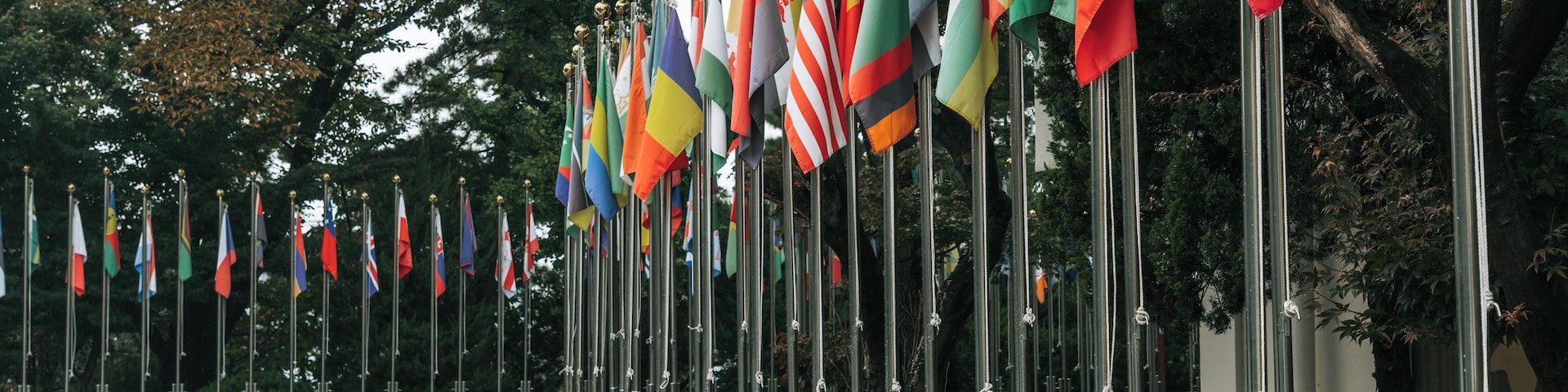 Fileira de bandeiras de diferentes países em mastros, um caminho azul e árvores ao fundo.