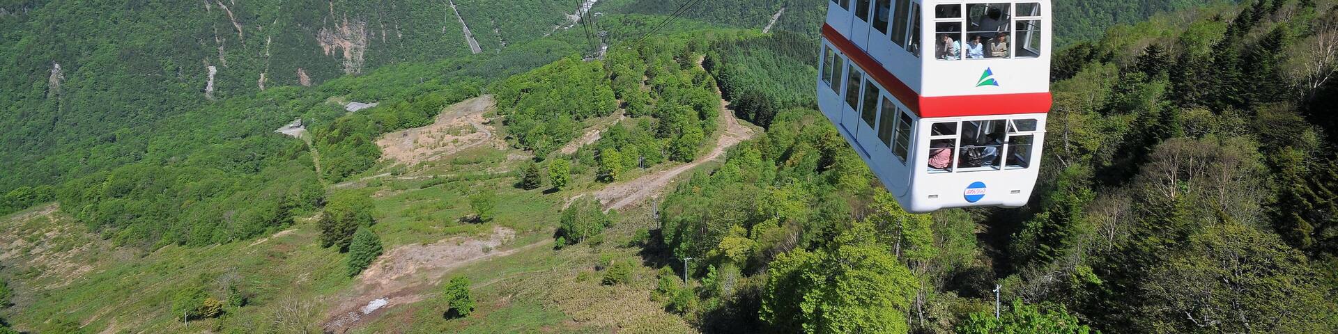 Shinhotaka Ropeway which includes a gondola, tranquil scenes and landscape views