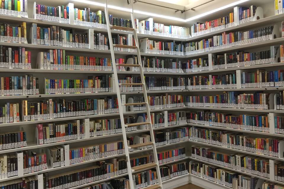 A library with bookshelves and a ladder.