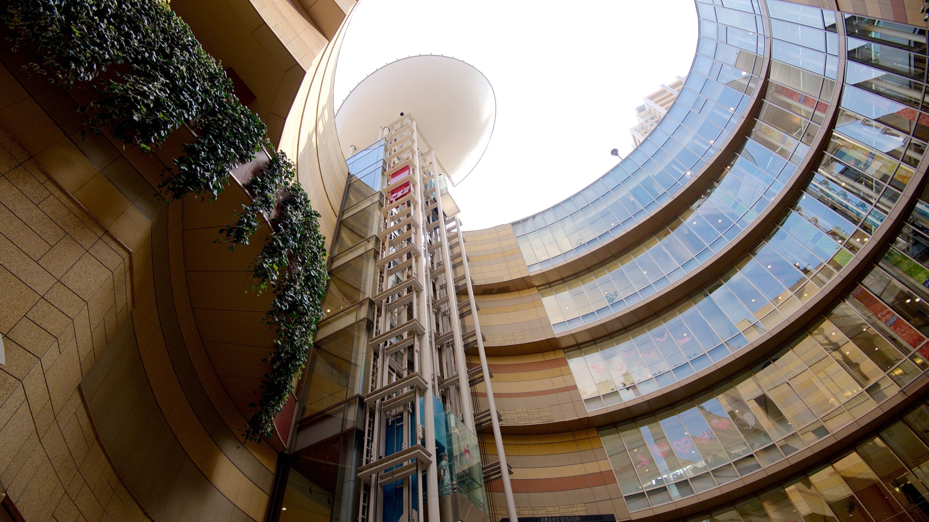 Osaka welches beinhaltet CBD