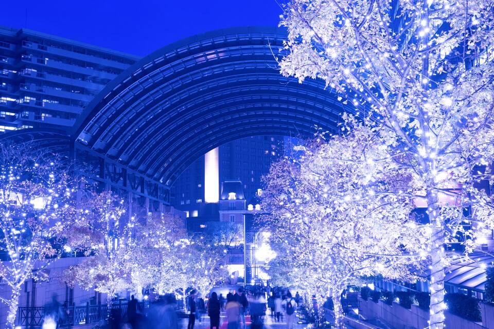 A nighttime urban scene with illuminated cherry blossom trees, a curved glass building, and a red carpet pathway.