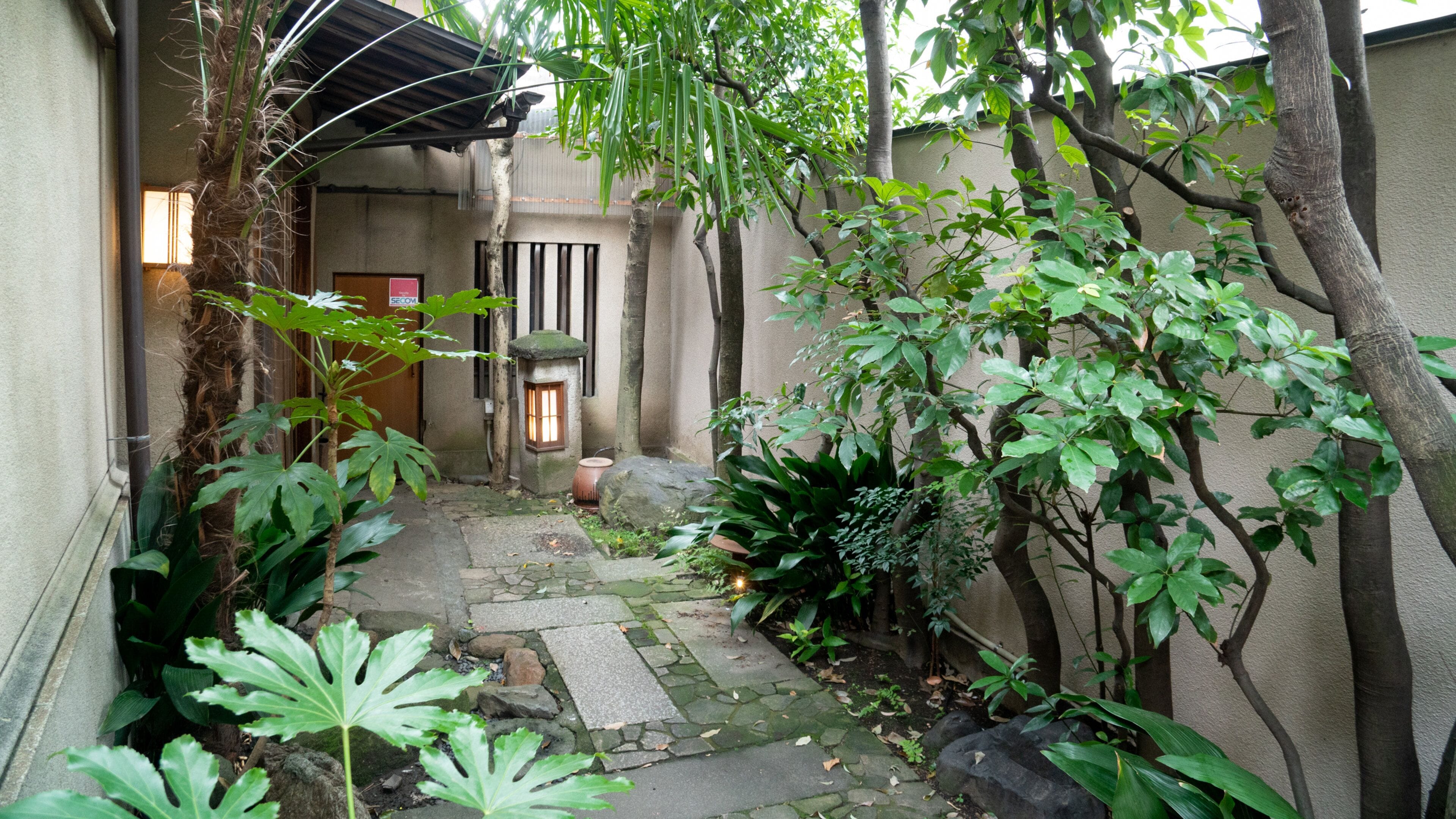Lucite Gallery showing a garden