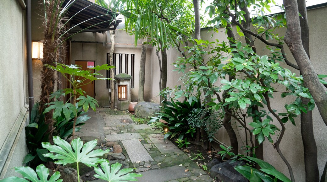 Lucite Gallery showing a garden