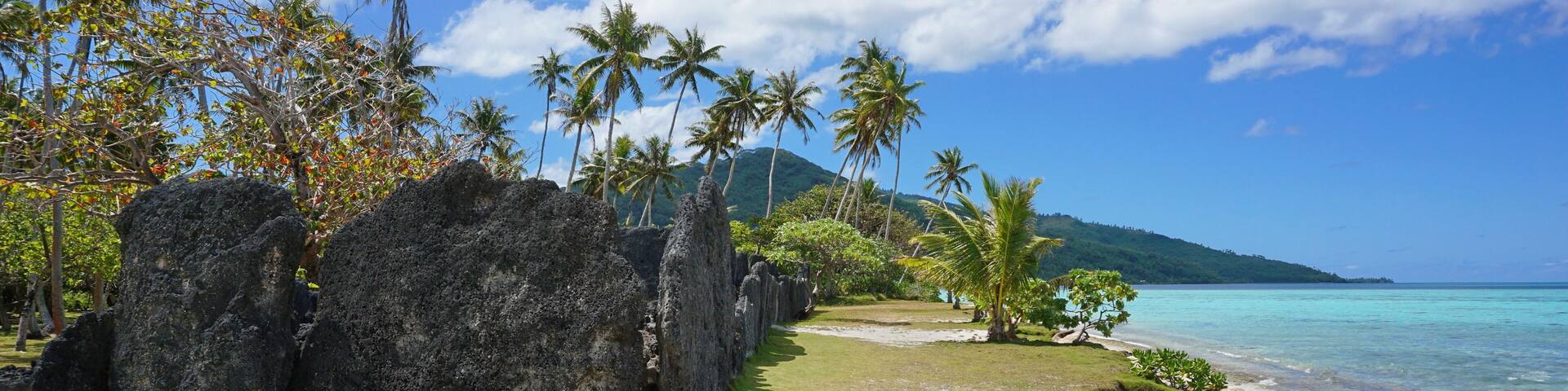 Una playa tropical con palmeras, rocas grandes y agua azul cristalina.