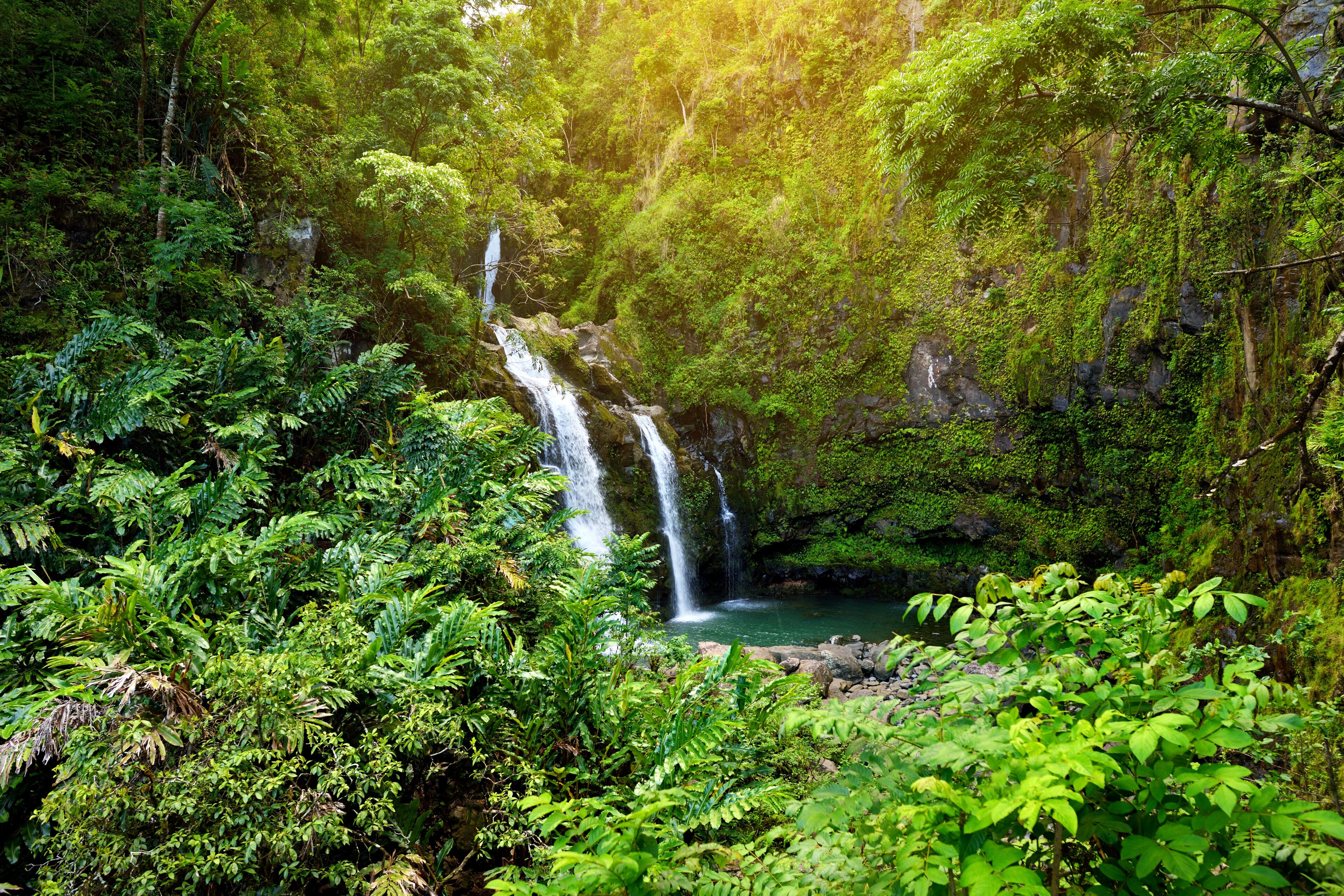 Upper Waikani Falls