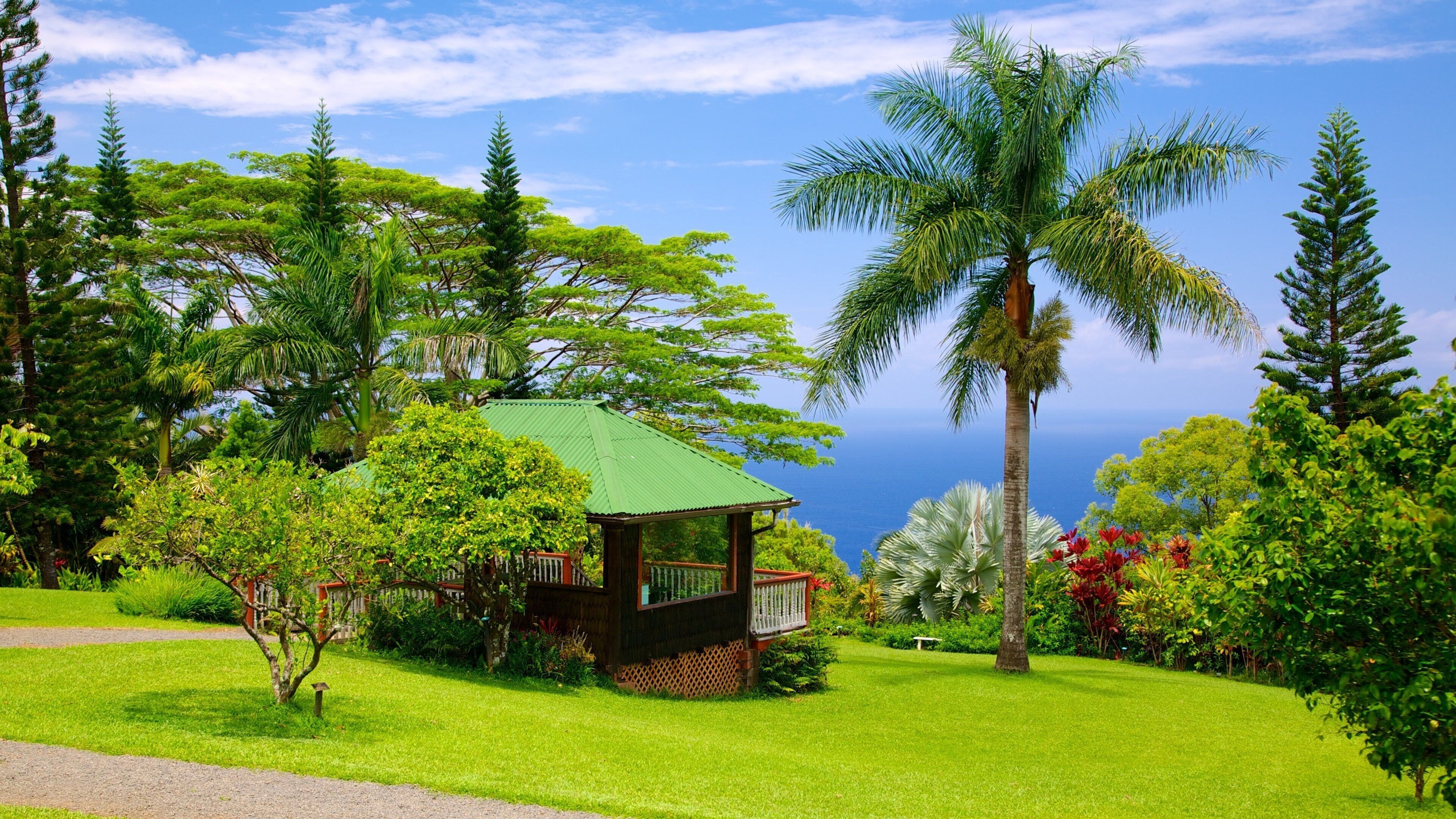 Isla de Maui ofreciendo vistas panorámicas, escenas tropicales y un jardín