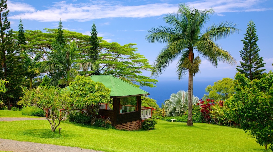 Isla de Maui ofreciendo vistas panorámicas, escenas tropicales y un jardín