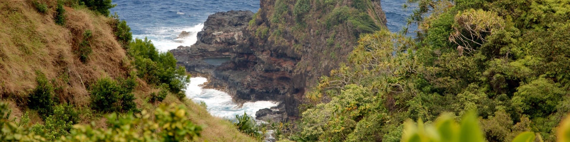 Garden of Eden Arboretum featuring rocky coastline and general coastal views