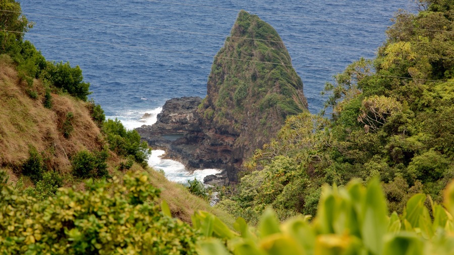 Garden of Eden Arboretum featuring rocky coastline and general coastal views