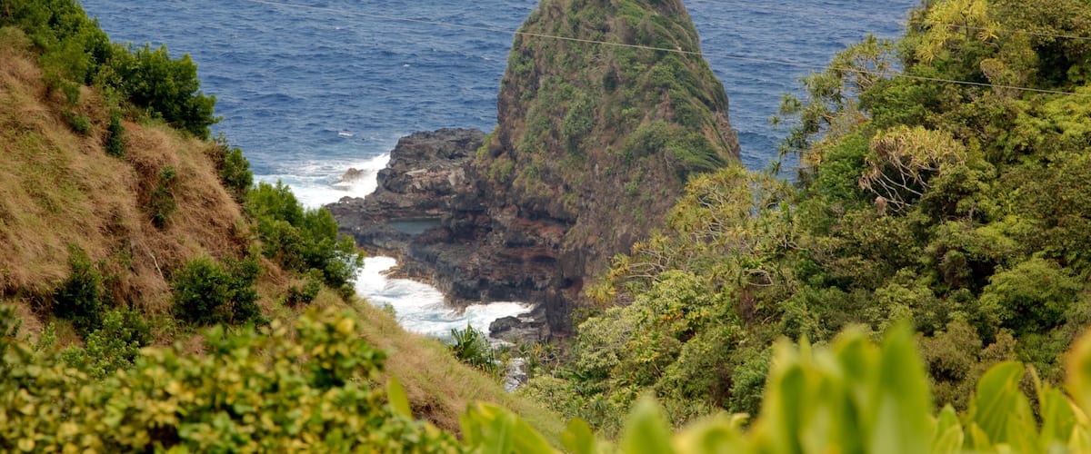 Garden of Eden Arboretum showing general coastal views and rocky coastline