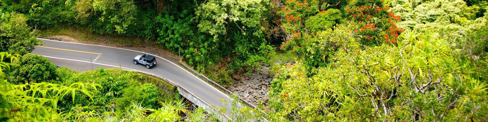 Maui Island featuring wildflowers, a garden and vehicle touring