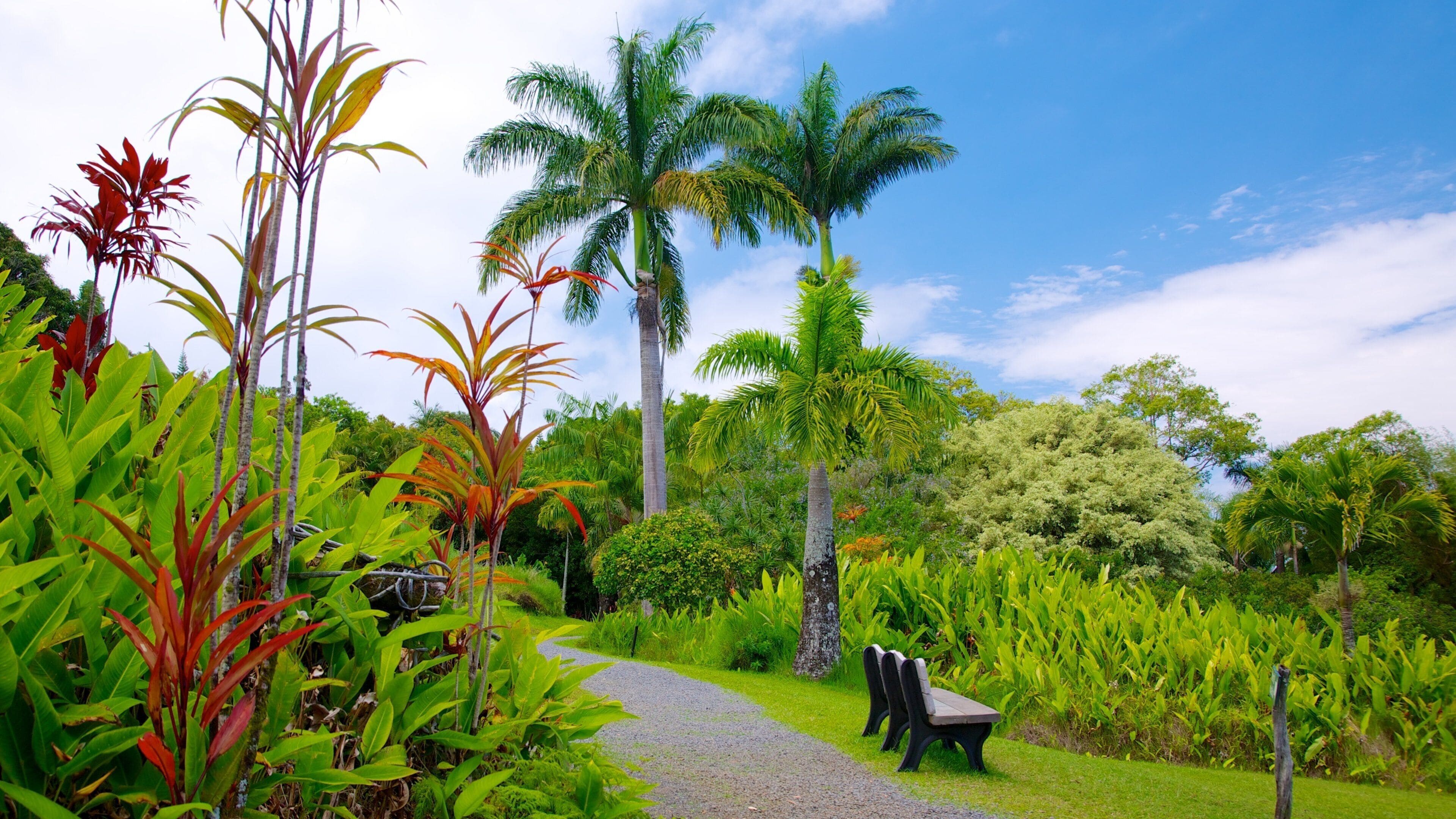 マウイ島 どの含み 庭園 と 自然の風景