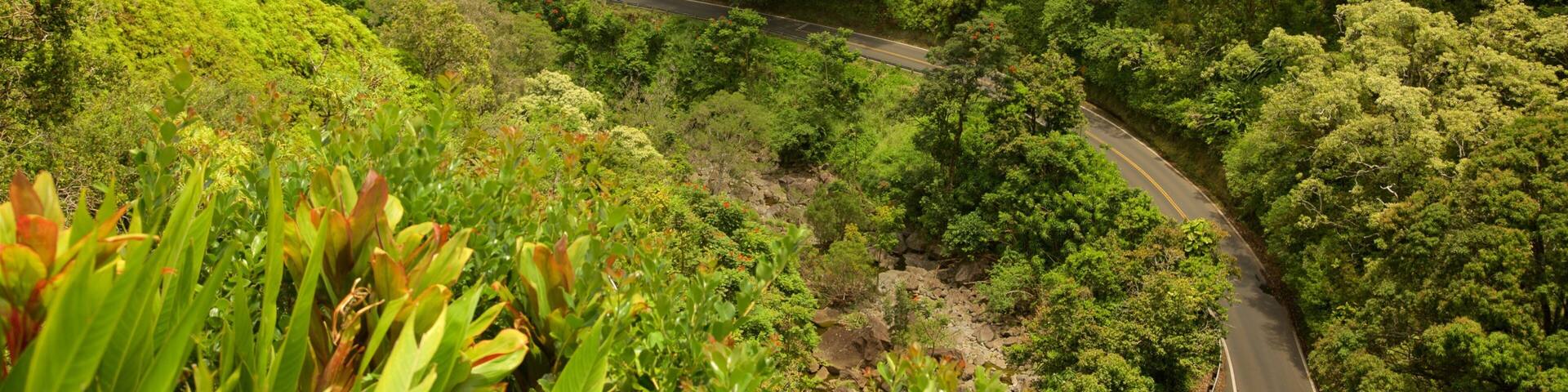 Garden of Eden Arboretum ofreciendo escenas forestales