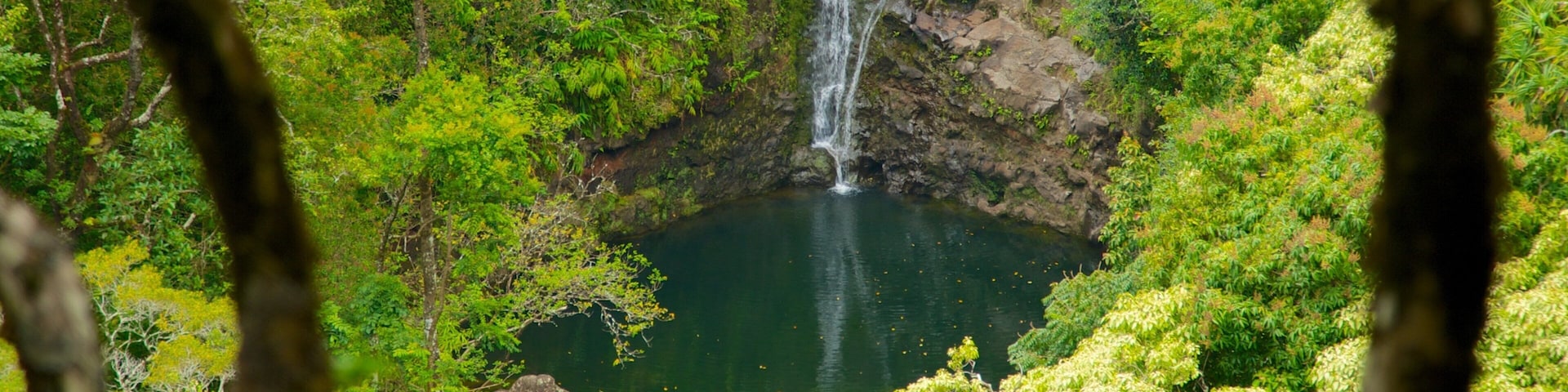 A waterfall cascading into a clear pond surrounded by lush greenery.