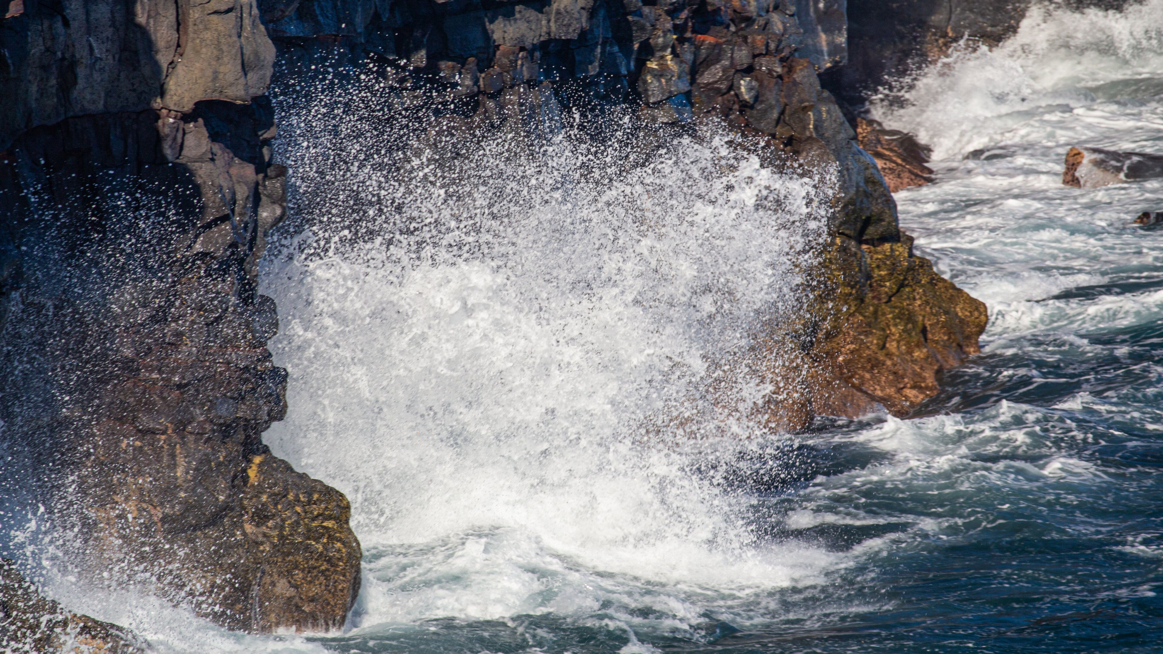 End of the Road showing rugged coastline, general coastal views and surf