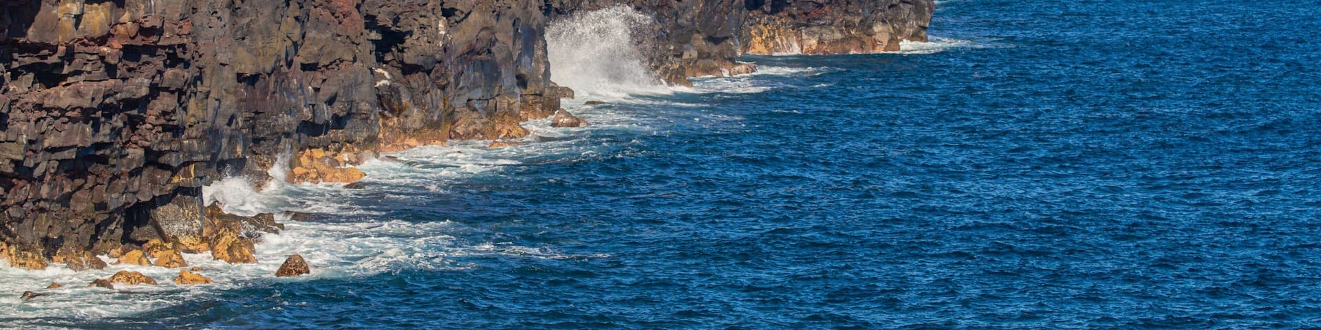 Una costa rocosa con palmeras y el océano.
