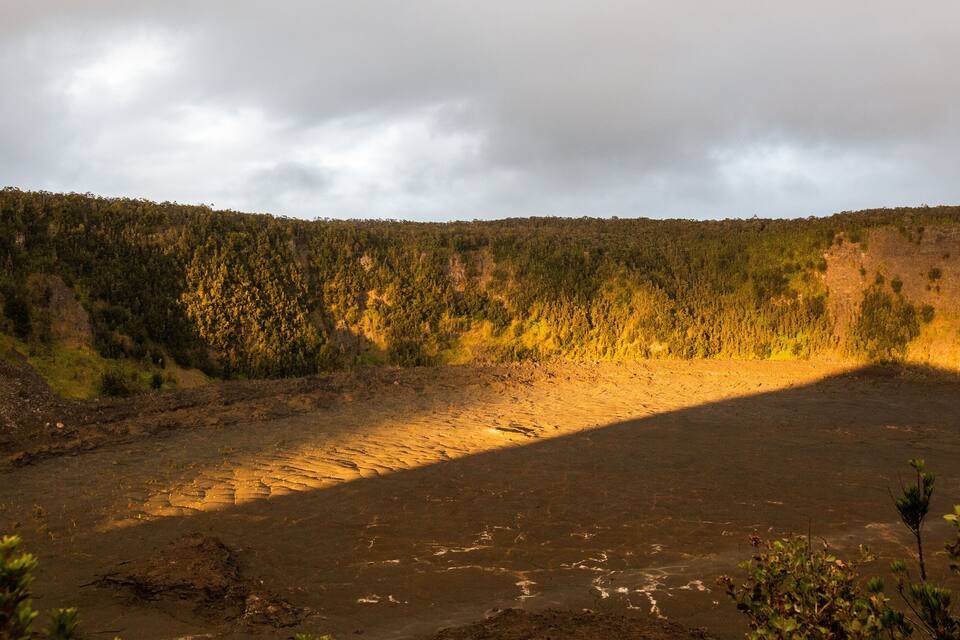 A barren landscape with a forested hill in the background.