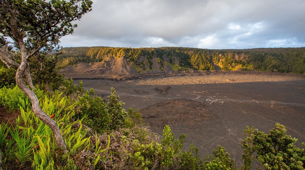 Kilauea Iki Crater featuring tranquil scenes