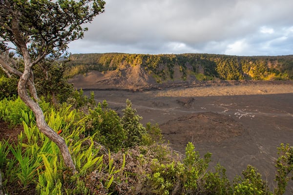 Kilauea Iki Crater featuring tranquil scenes