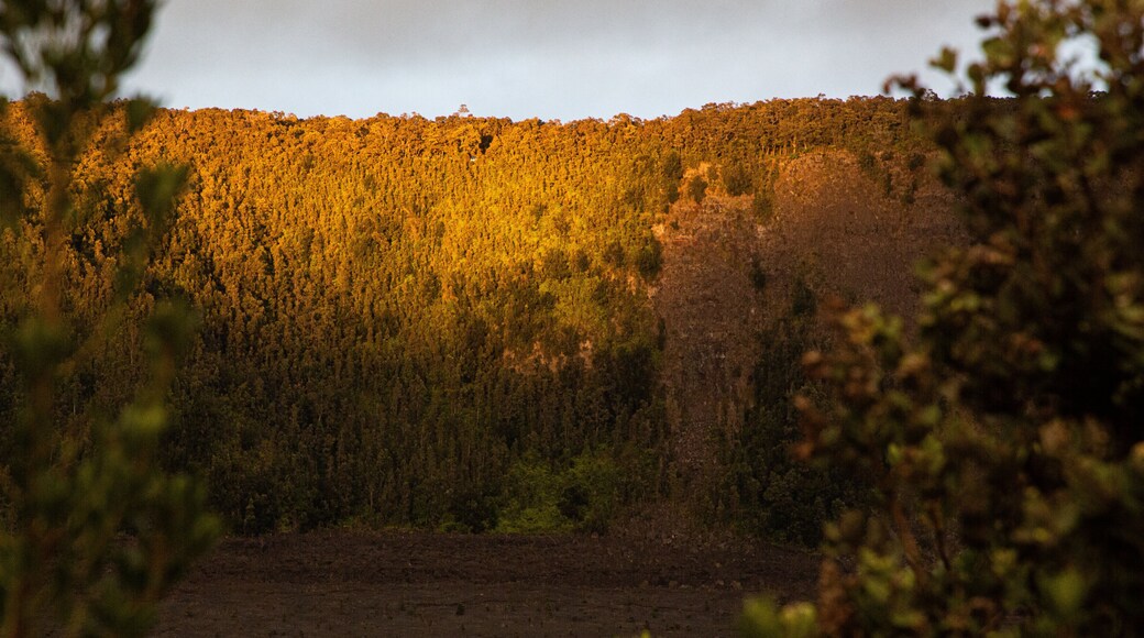 Kilauea Iki Crater showing tranquil scenes