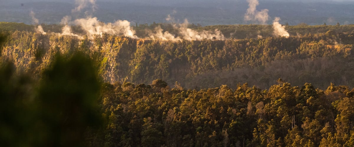 A forest with smoke rising from the trees.