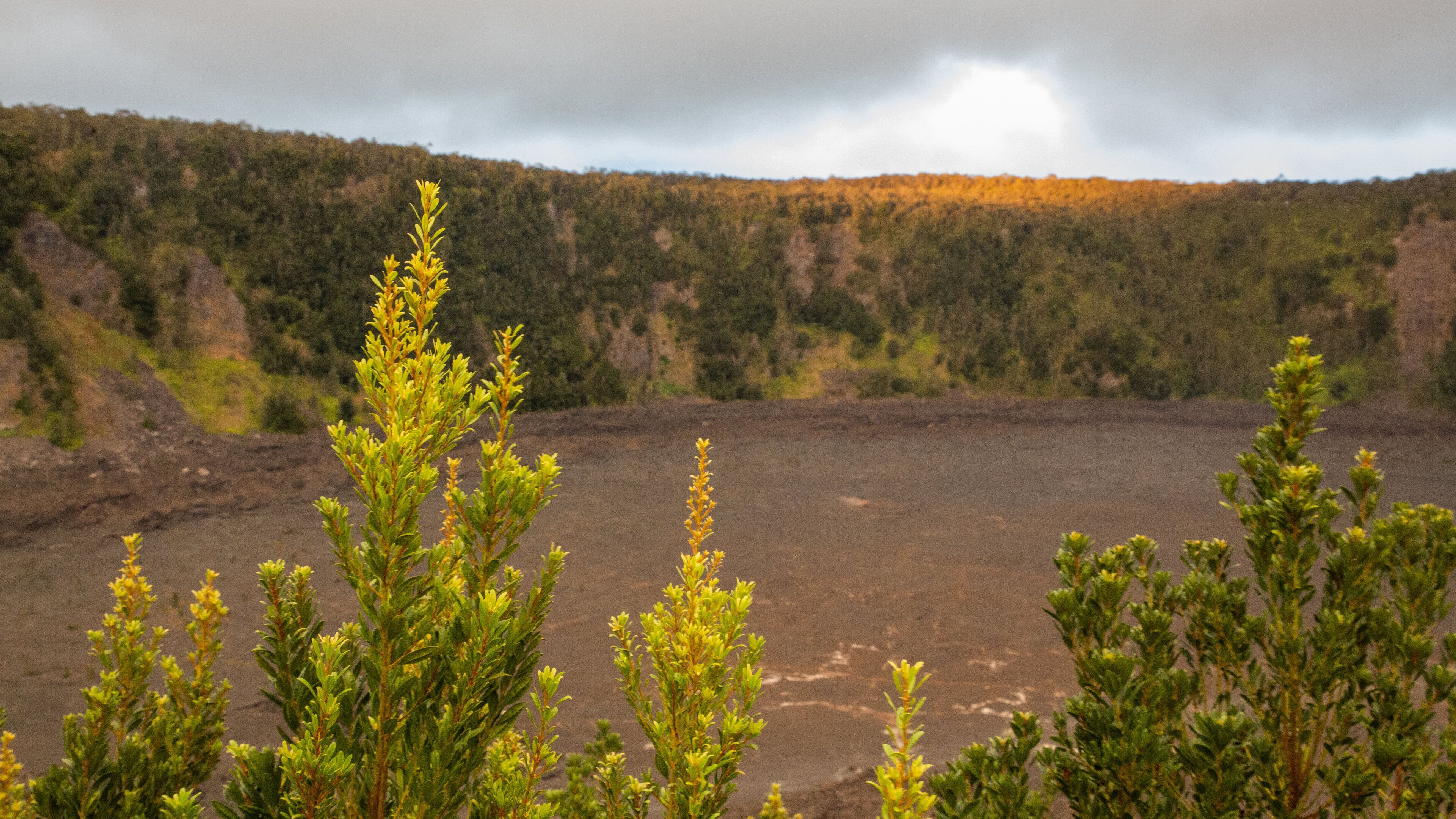 Kilauea Iki Crater showing tranquil scenes