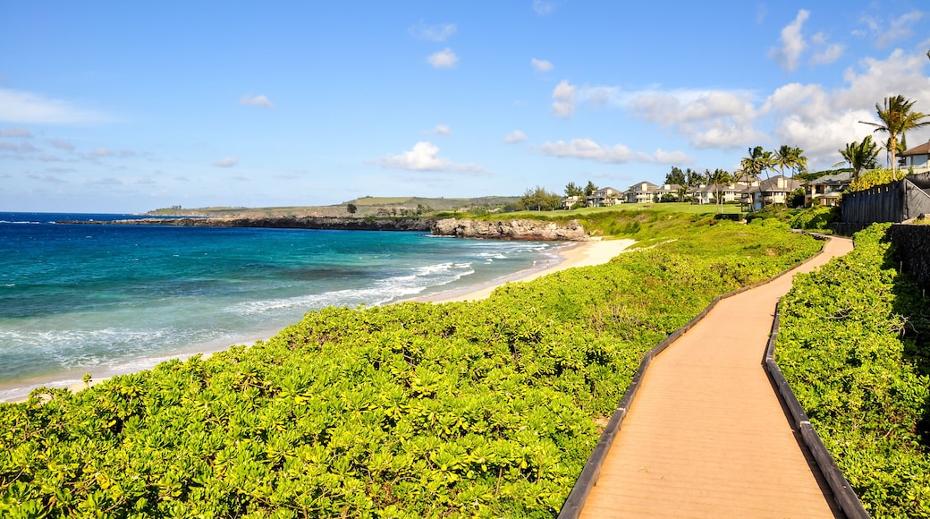 Beautiful pathway at Oneloa Bay on the island of Maui, Hawaii, USA. Oneloa Bay and Oneloa Beach are located near Kapalua on West Maui and are famous tourist destinations.