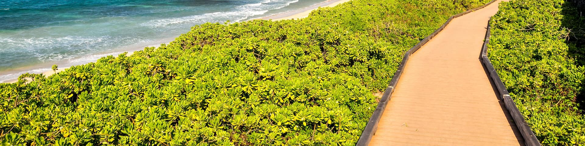Beautiful pathway at Oneloa Bay on the island of Maui, Hawaii, USA. Oneloa Bay and Oneloa Beach are located near Kapalua on West Maui and are famous tourist destinations.