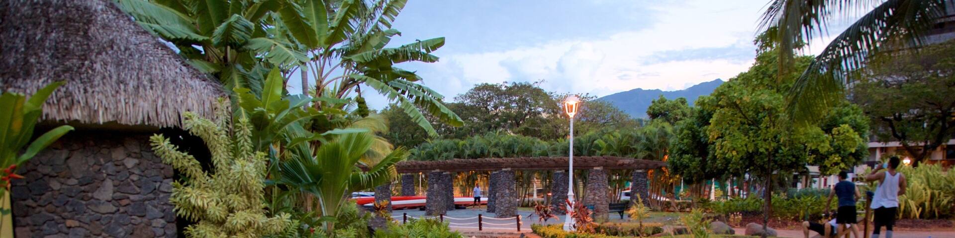 Papeete mettant en vedette jardin et riviĂšre ou ruisseau