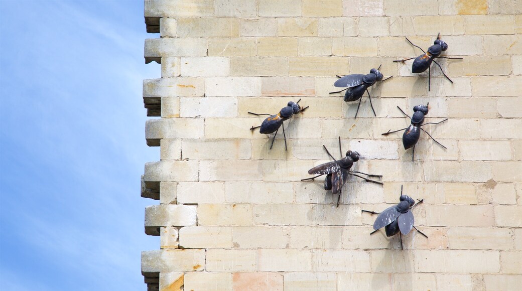 Oamaru which includes outdoor art