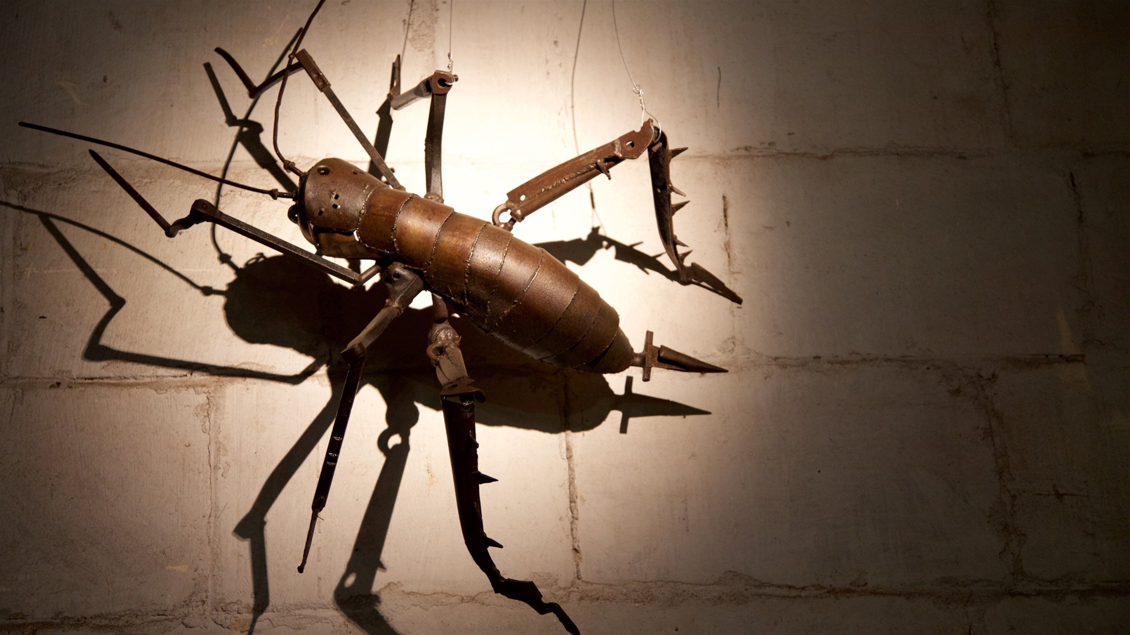 오아마루 을 특징 야외 예술 과 예술