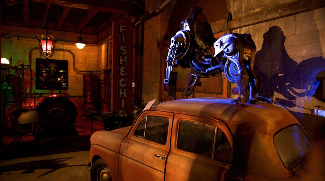 Oamaru mettant en vedette scènes intérieures et art