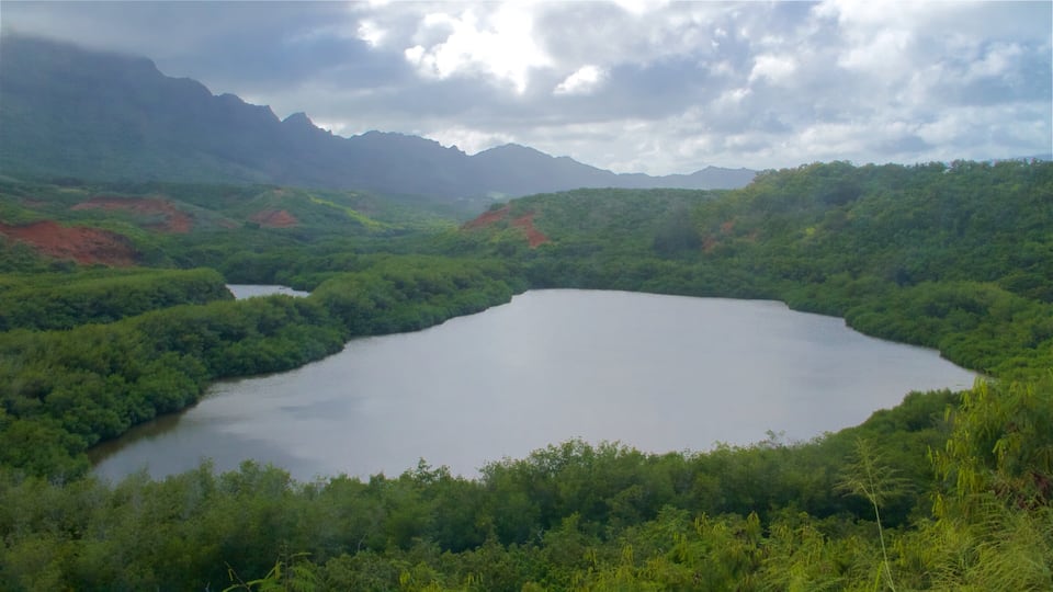 Alekoko Fishpond showing tranquil scenes and a lake or waterhole
