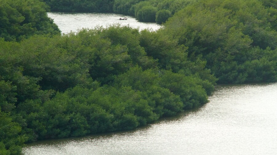 Alekoko Fishpond featuring wetlands and a pond