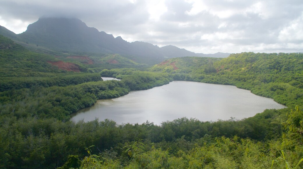 Lihue เนื้อเรื่องที่ ภูเขา, ป่า และ ทะเลสาบหรือแอ่งน้ำ