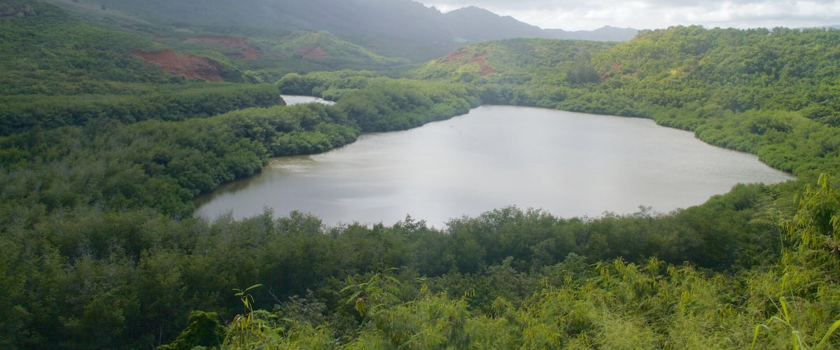 Lihue featuring a lake or waterhole, mountains and forests